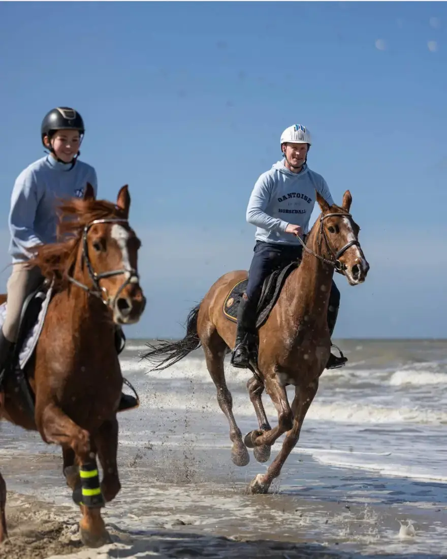 Twee ruiters langs de zee