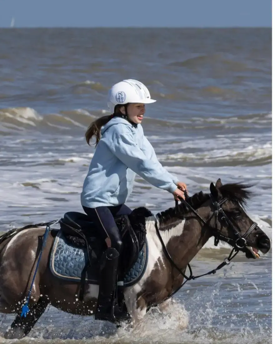 Pony stapt door de golven